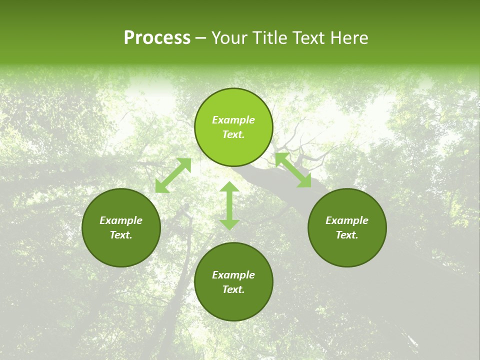 Branches Bark Green Wood PowerPoint Template