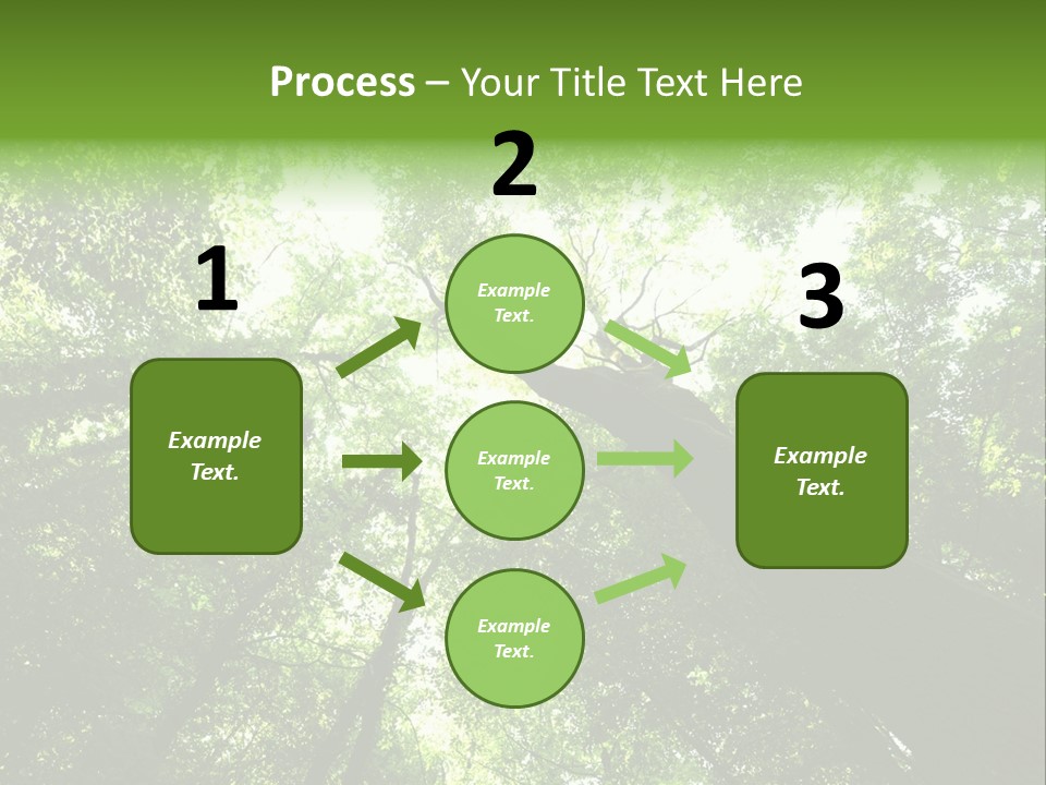 Branches Bark Green Wood PowerPoint Template