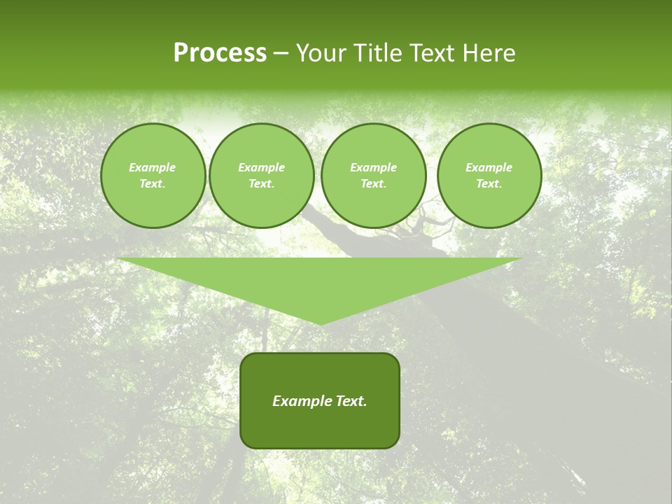 Branches Bark Green Wood PowerPoint Template