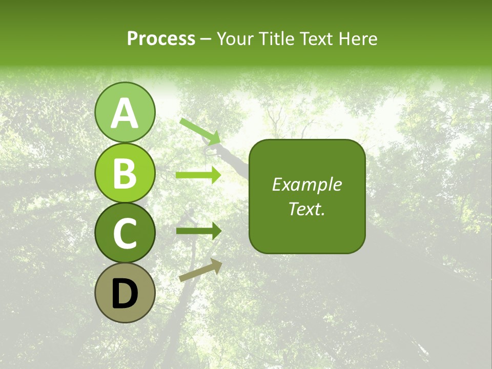 Branches Bark Green Wood PowerPoint Template