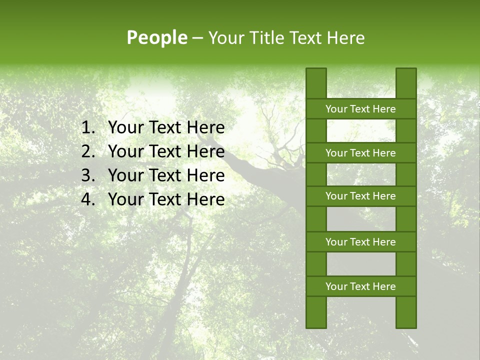 Branches Bark Green Wood PowerPoint Template