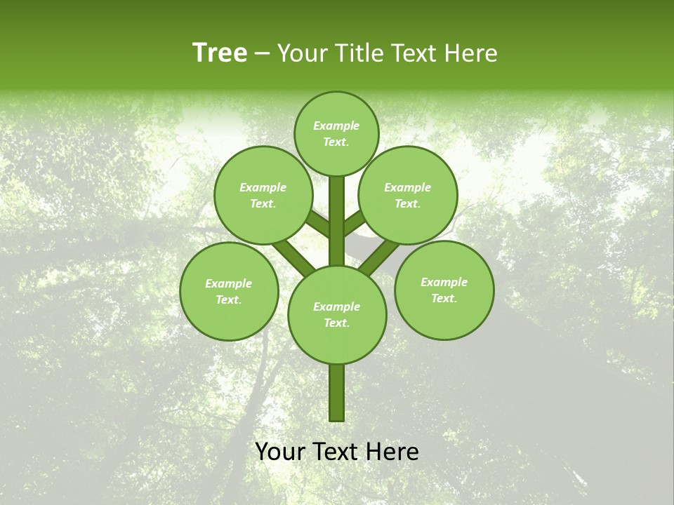 Branches Bark Green Wood PowerPoint Template