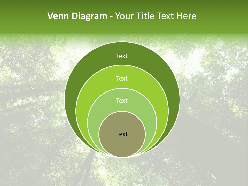 Branches Bark Green Wood PowerPoint Template