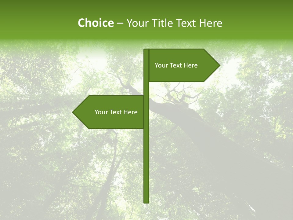 Branches Bark Green Wood PowerPoint Template