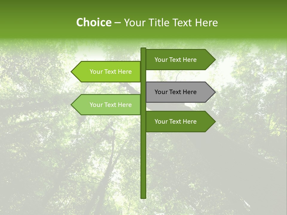 Branches Bark Green Wood PowerPoint Template