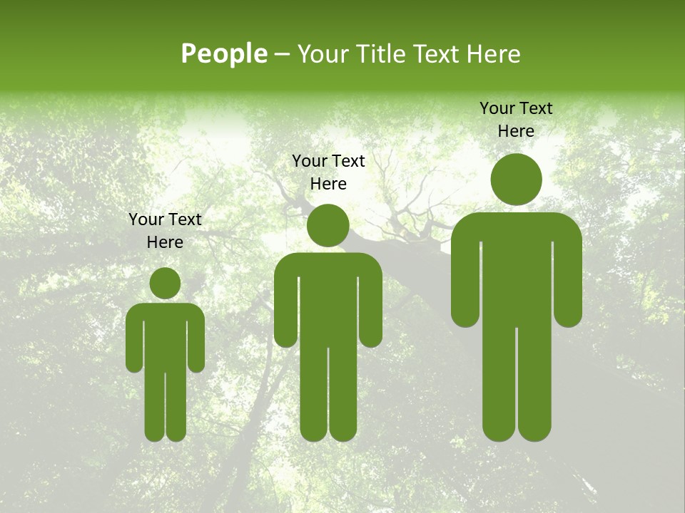 Branches Bark Green Wood PowerPoint Template