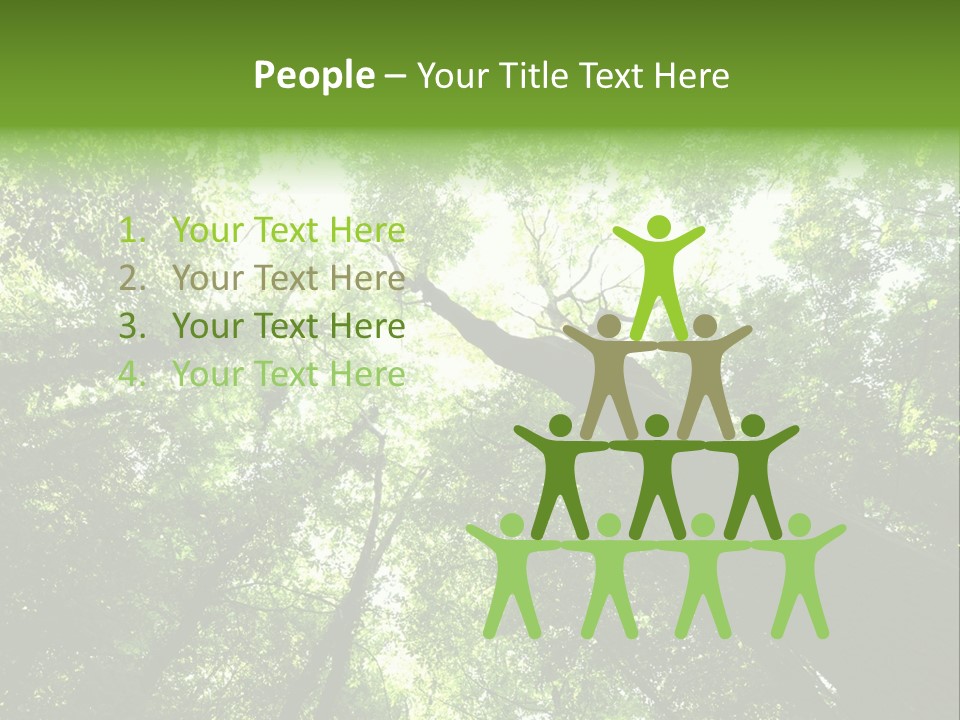 Branches Bark Green Wood PowerPoint Template