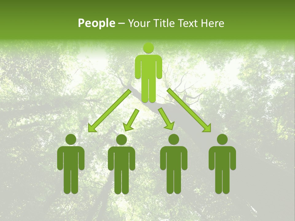 Branches Bark Green Wood PowerPoint Template