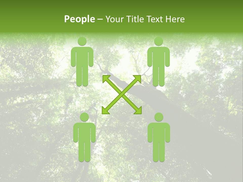 Branches Bark Green Wood PowerPoint Template