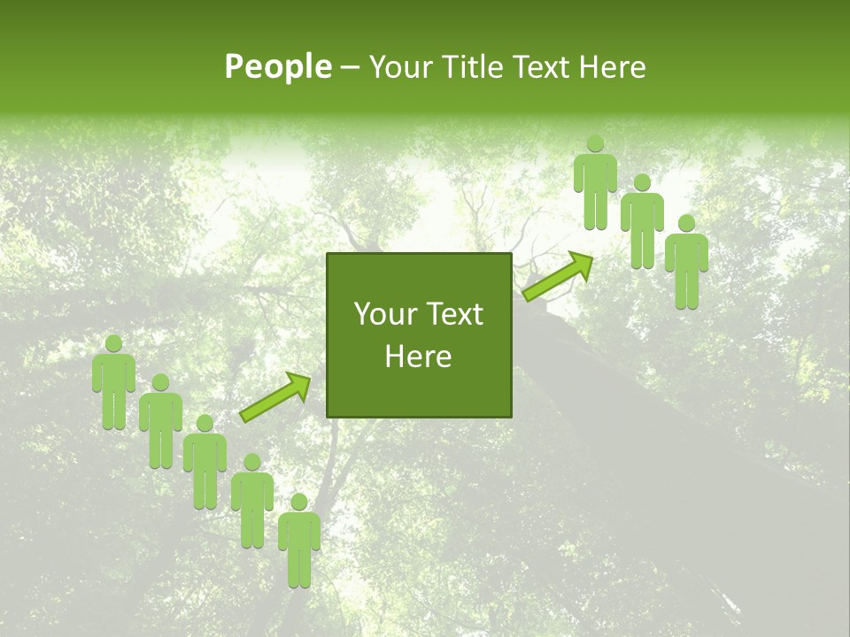 Branches Bark Green Wood PowerPoint Template