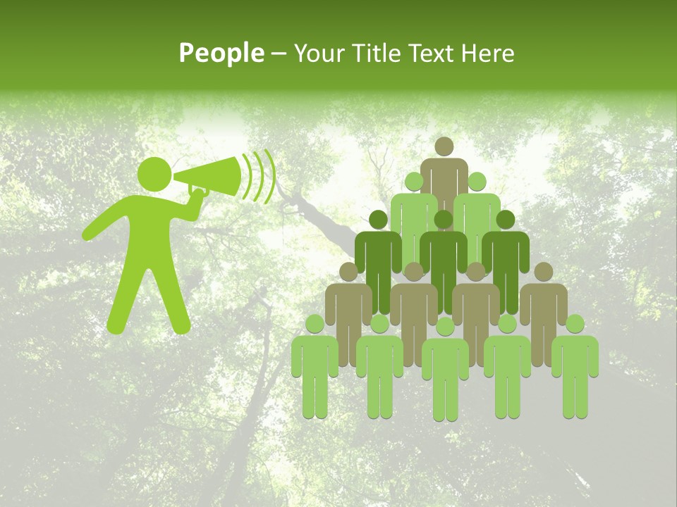 Branches Bark Green Wood PowerPoint Template