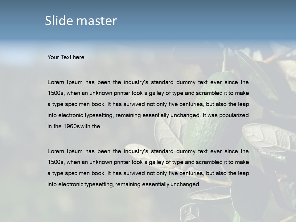 An Avocado Hanging From A Tree With Leaves PowerPoint Template