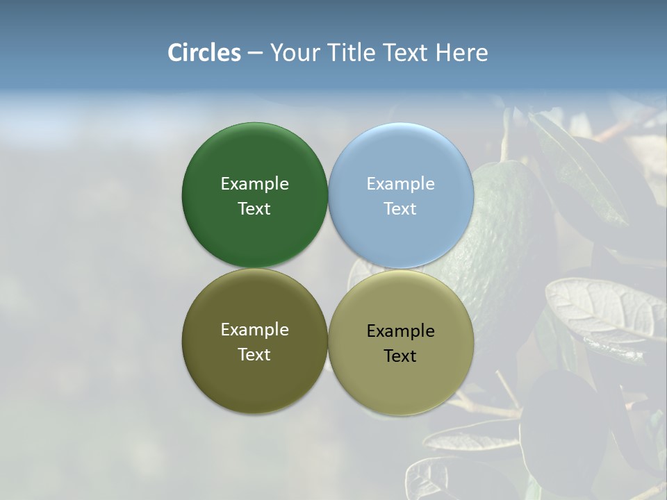 An Avocado Hanging From A Tree With Leaves PowerPoint Template