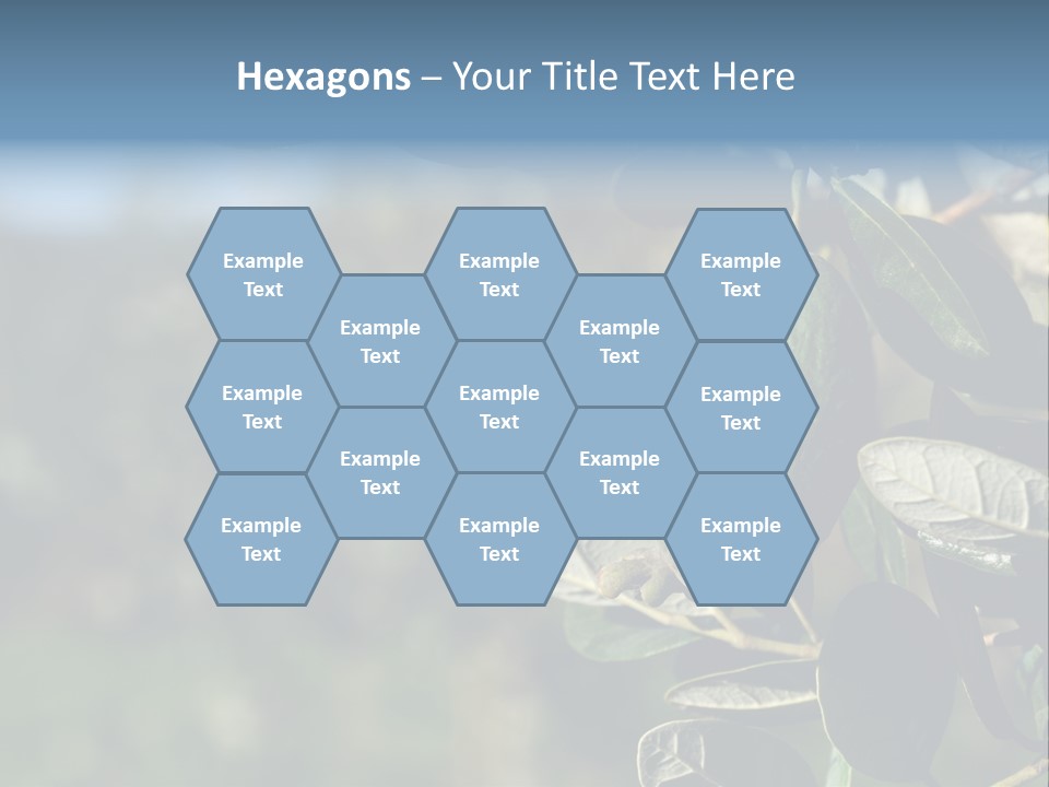 An Avocado Hanging From A Tree With Leaves PowerPoint Template