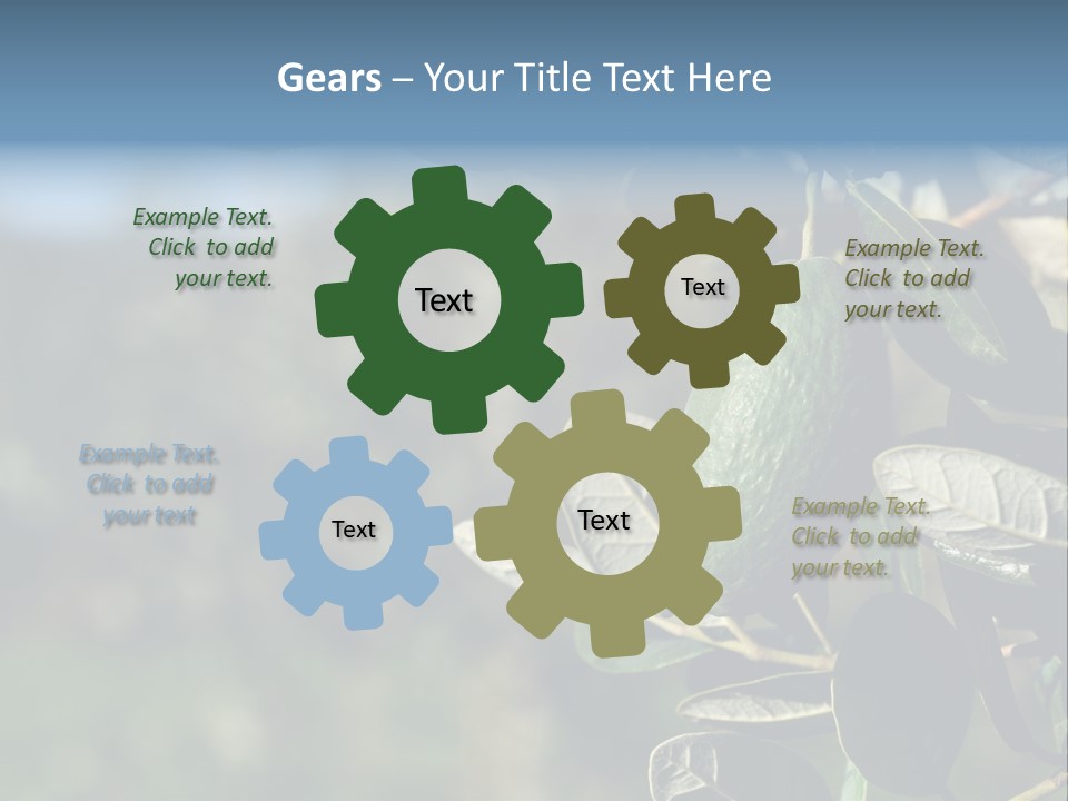 An Avocado Hanging From A Tree With Leaves PowerPoint Template