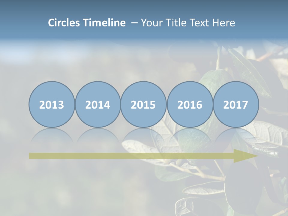 An Avocado Hanging From A Tree With Leaves PowerPoint Template