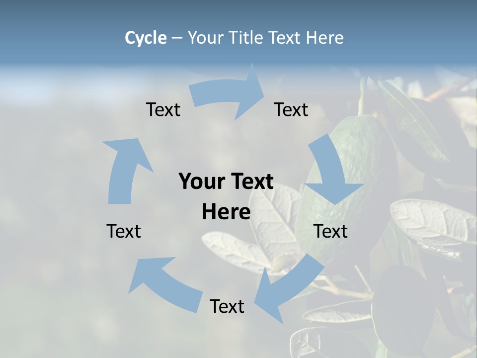 An Avocado Hanging From A Tree With Leaves PowerPoint Template