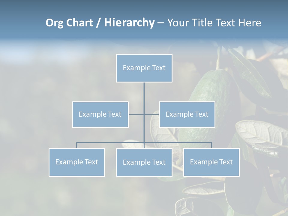 An Avocado Hanging From A Tree With Leaves PowerPoint Template