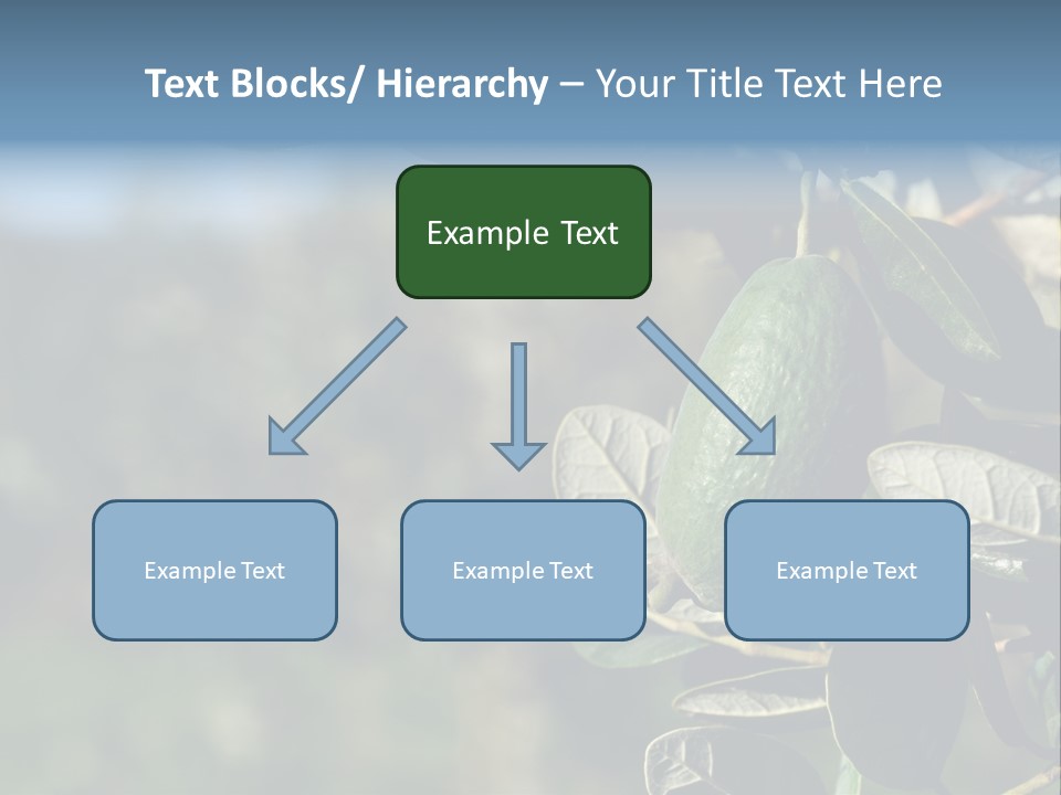 An Avocado Hanging From A Tree With Leaves PowerPoint Template