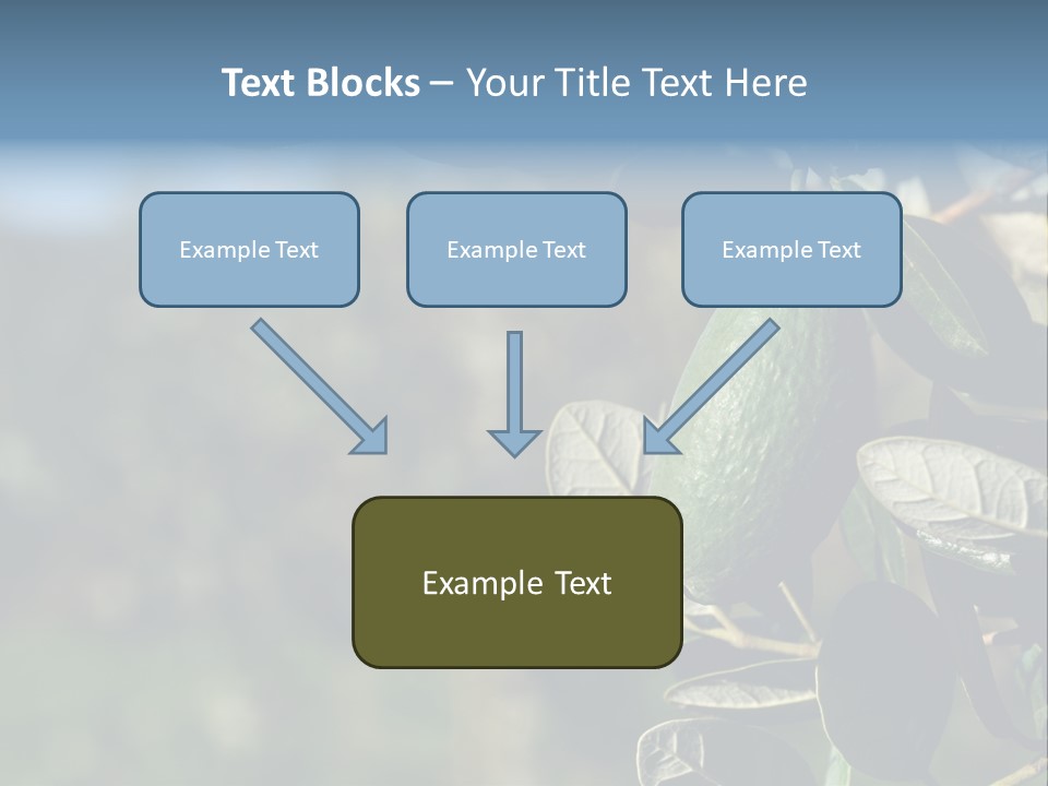 An Avocado Hanging From A Tree With Leaves PowerPoint Template