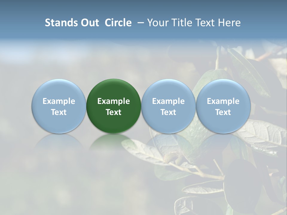 An Avocado Hanging From A Tree With Leaves PowerPoint Template