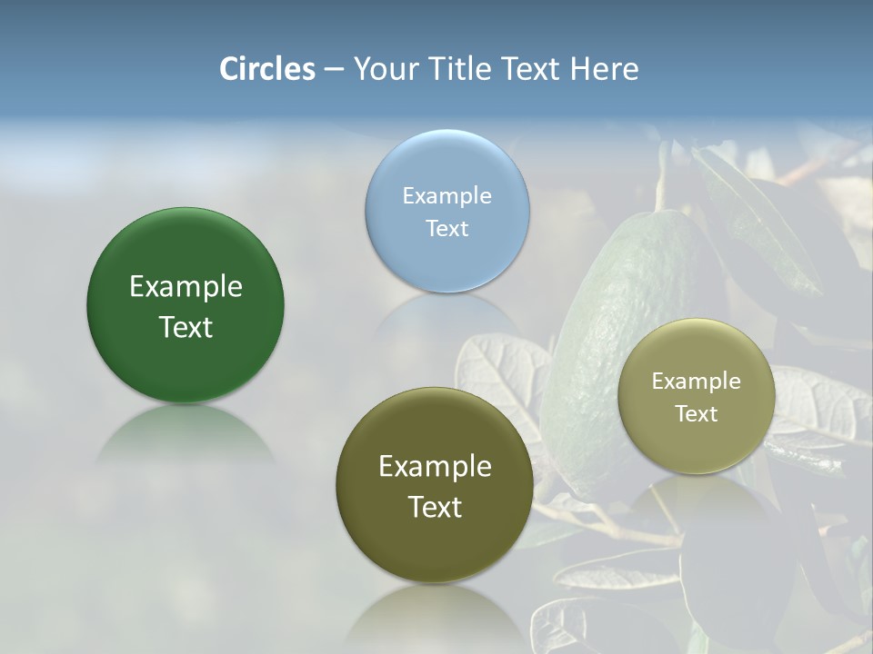 An Avocado Hanging From A Tree With Leaves PowerPoint Template