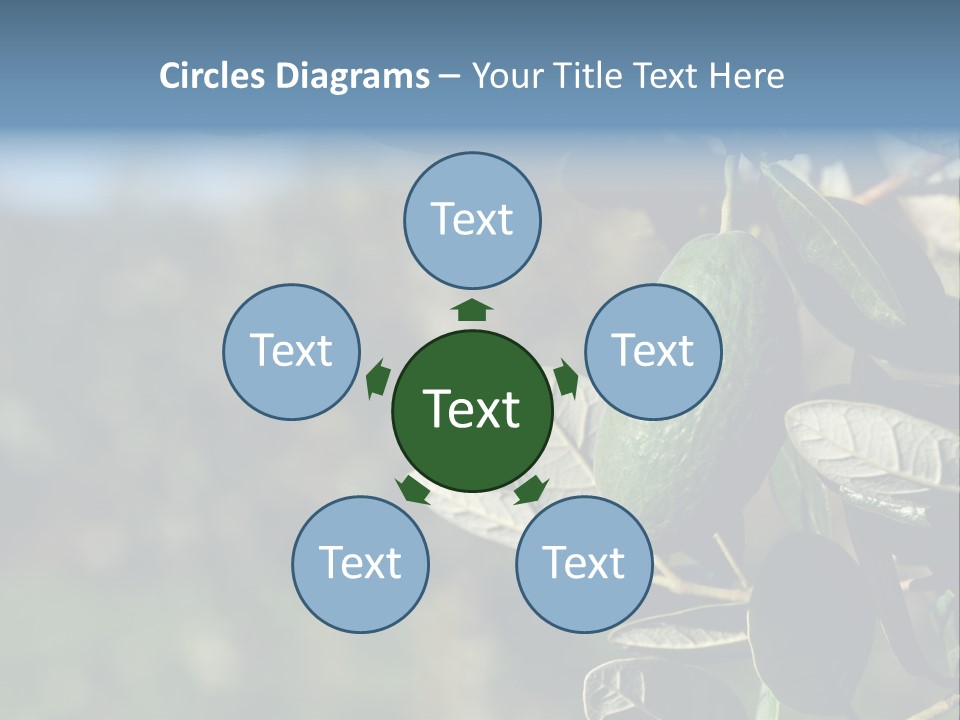 An Avocado Hanging From A Tree With Leaves PowerPoint Template