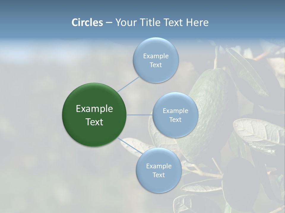 An Avocado Hanging From A Tree With Leaves PowerPoint Template