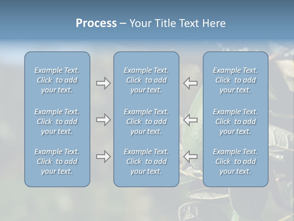An Avocado Hanging From A Tree With Leaves PowerPoint Template