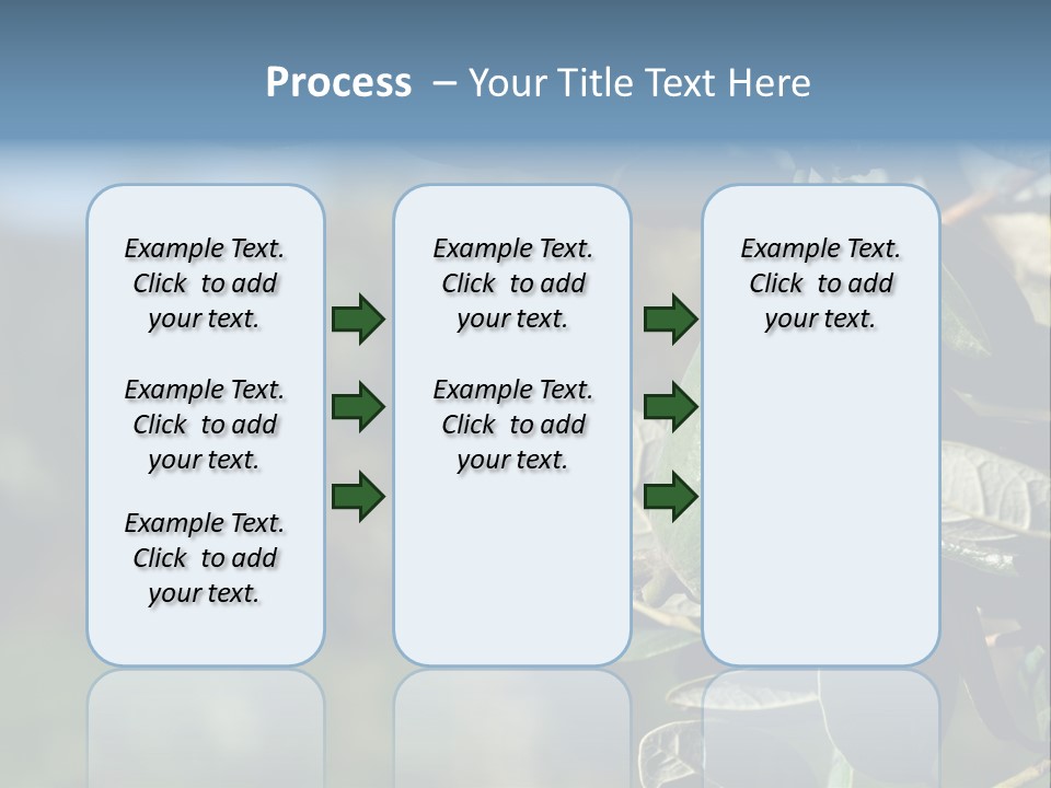 An Avocado Hanging From A Tree With Leaves PowerPoint Template