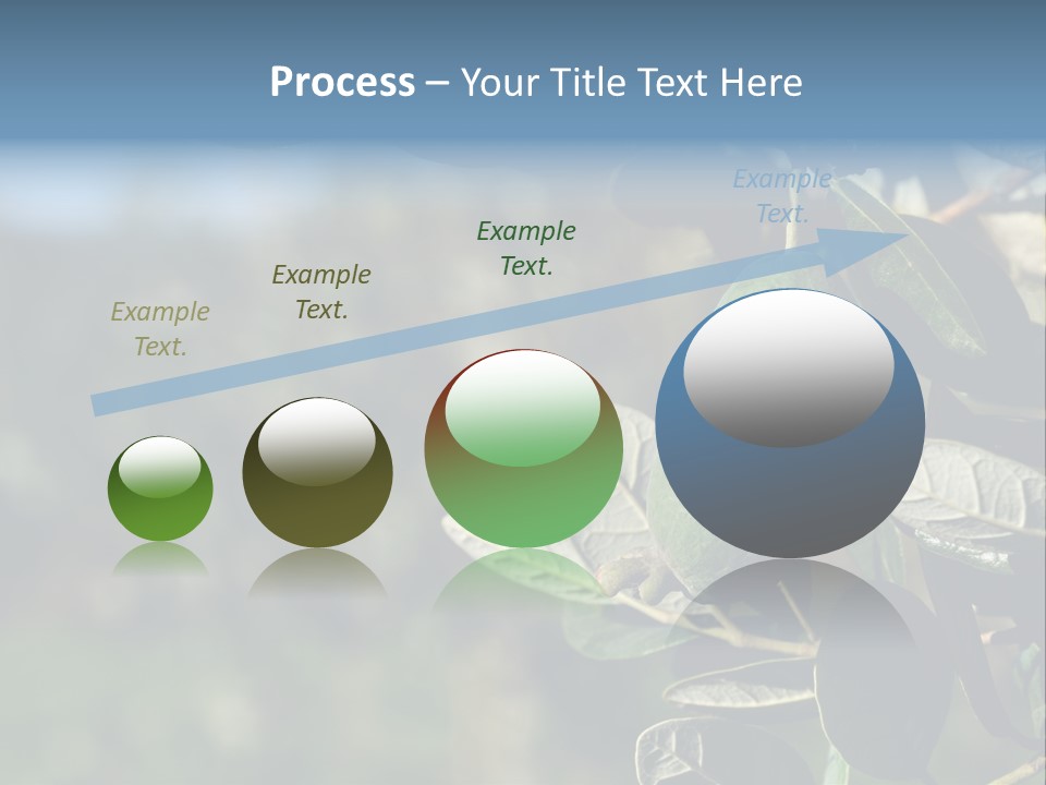 An Avocado Hanging From A Tree With Leaves PowerPoint Template