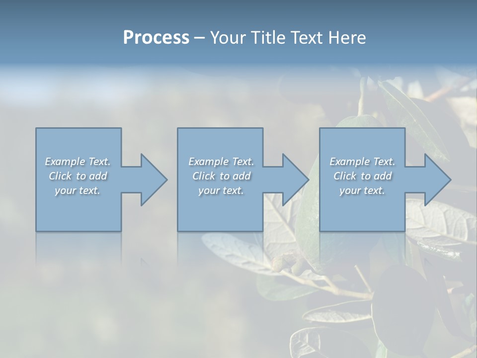 An Avocado Hanging From A Tree With Leaves PowerPoint Template