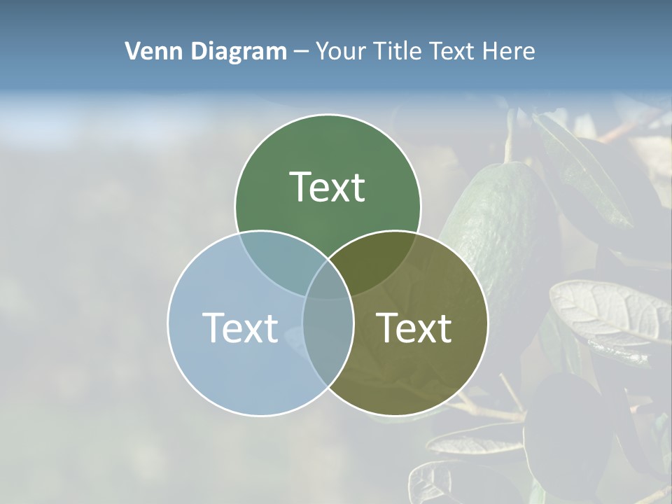 An Avocado Hanging From A Tree With Leaves PowerPoint Template