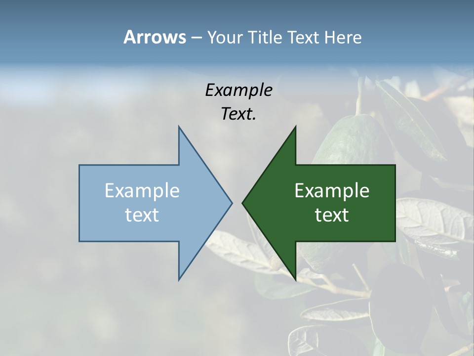 An Avocado Hanging From A Tree With Leaves PowerPoint Template