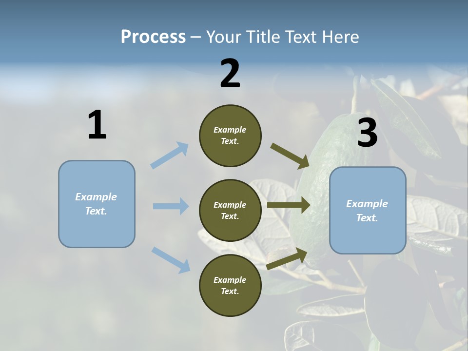 An Avocado Hanging From A Tree With Leaves PowerPoint Template