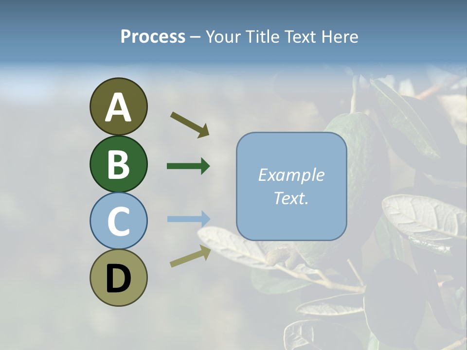 An Avocado Hanging From A Tree With Leaves PowerPoint Template