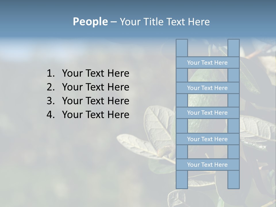 An Avocado Hanging From A Tree With Leaves PowerPoint Template