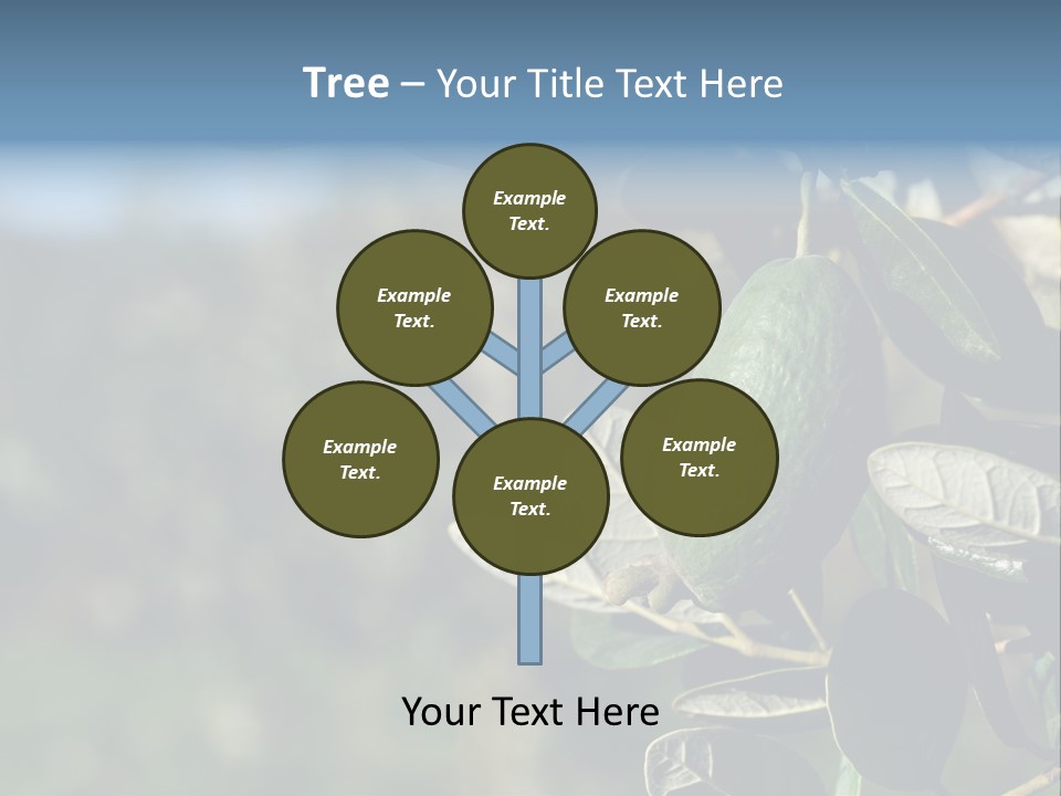 An Avocado Hanging From A Tree With Leaves PowerPoint Template