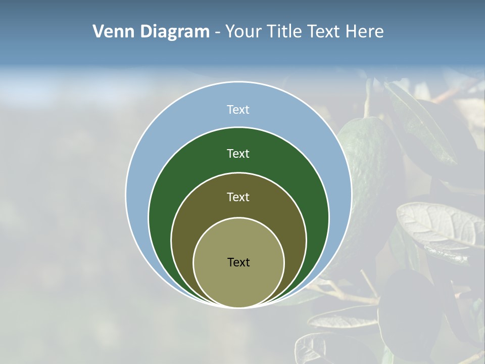 An Avocado Hanging From A Tree With Leaves PowerPoint Template