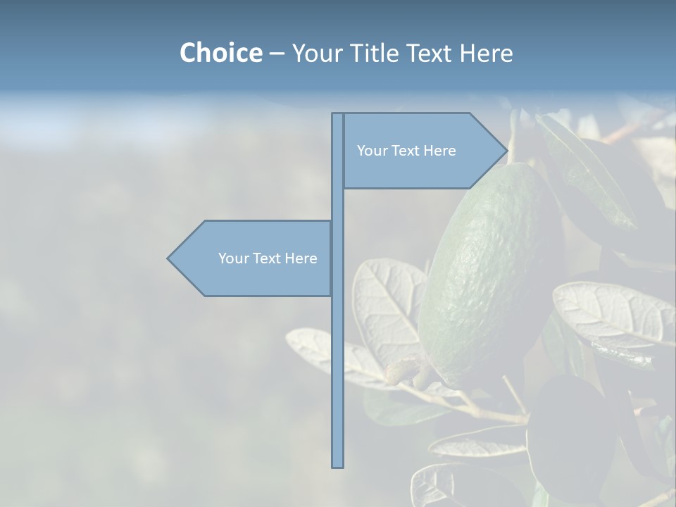 An Avocado Hanging From A Tree With Leaves PowerPoint Template