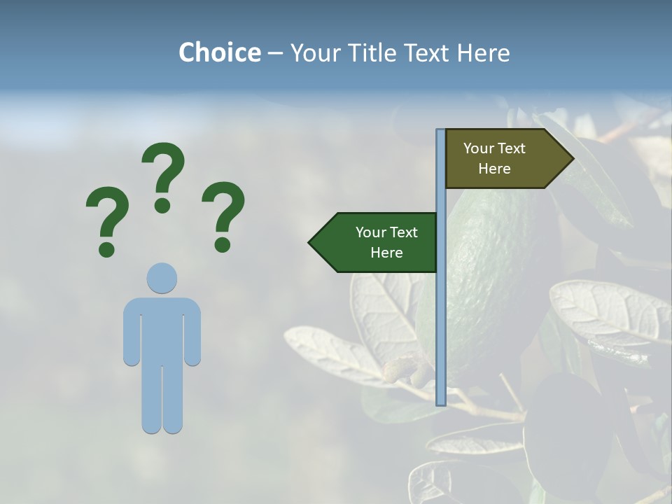 An Avocado Hanging From A Tree With Leaves PowerPoint Template