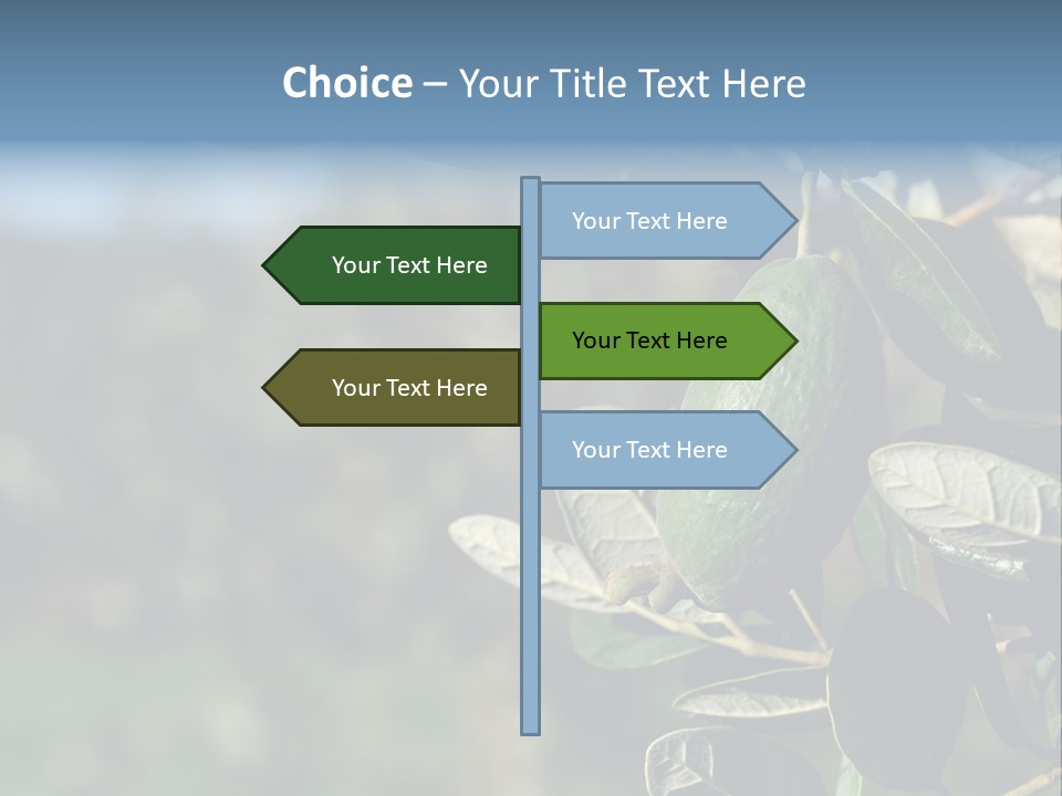 An Avocado Hanging From A Tree With Leaves PowerPoint Template
