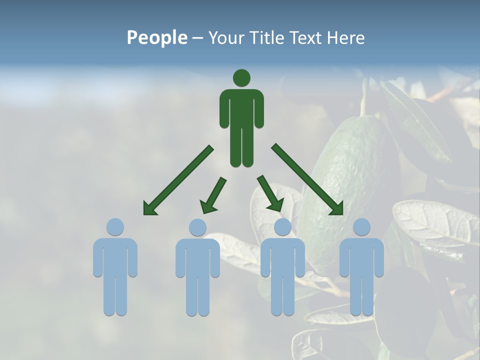 An Avocado Hanging From A Tree With Leaves PowerPoint Template