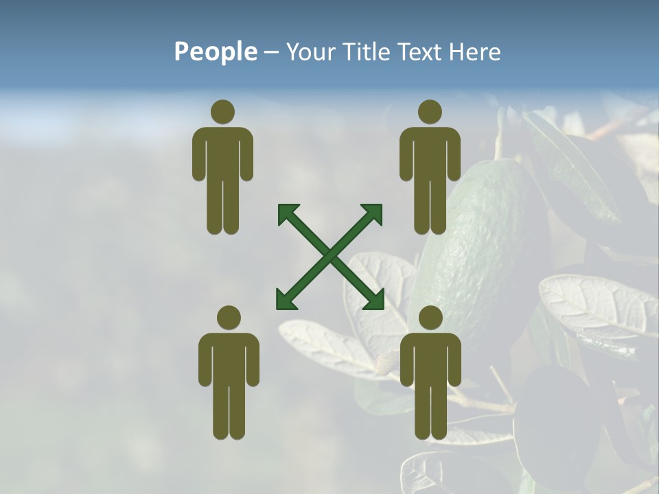 An Avocado Hanging From A Tree With Leaves PowerPoint Template