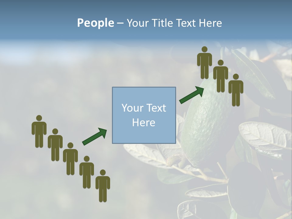 An Avocado Hanging From A Tree With Leaves PowerPoint Template