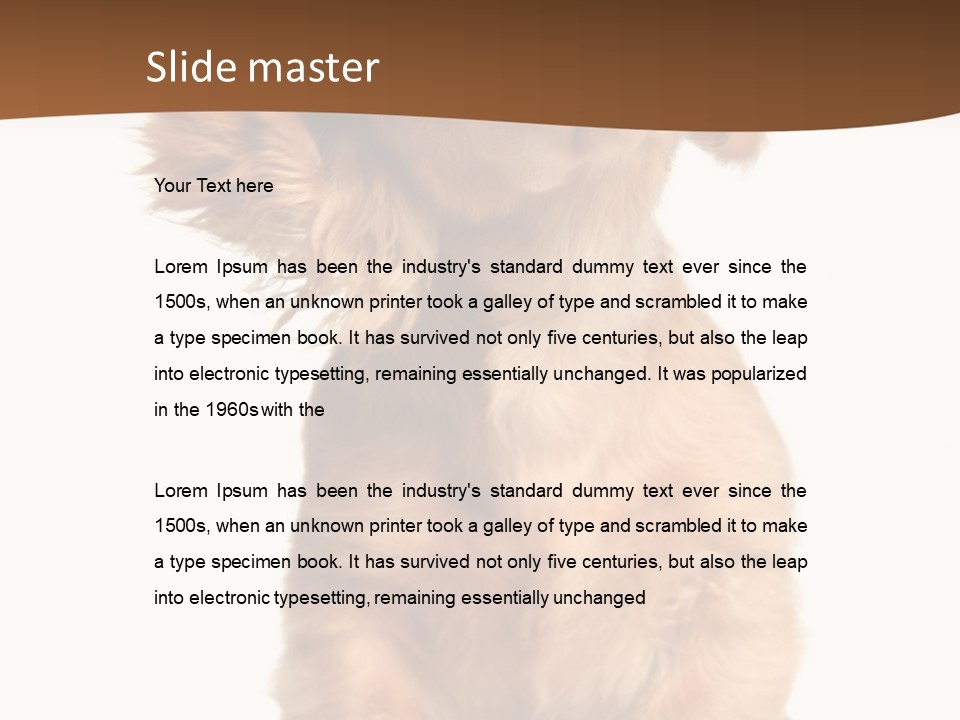 Canine Doxie Breed PowerPoint Template