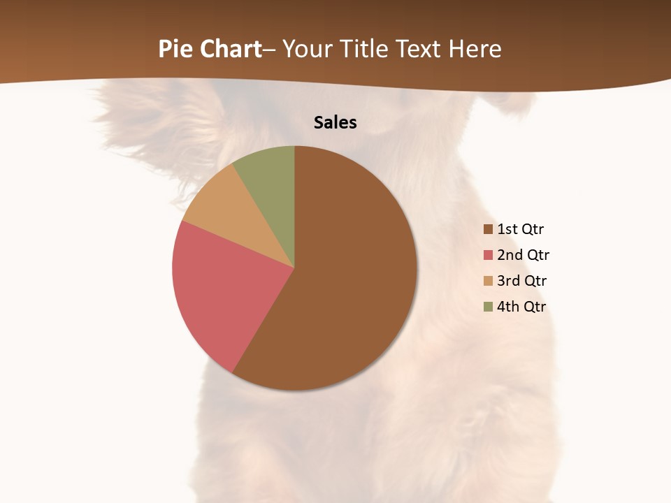 Canine Doxie Breed PowerPoint Template