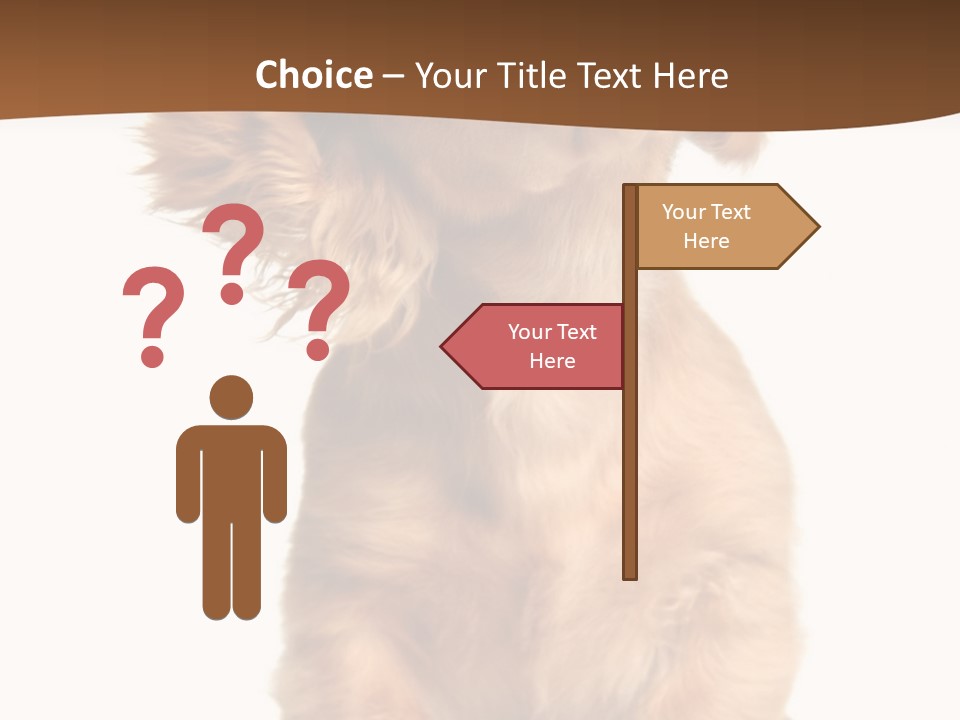 Canine Doxie Breed PowerPoint Template