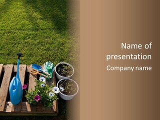 Concept Growth Summer PowerPoint Template