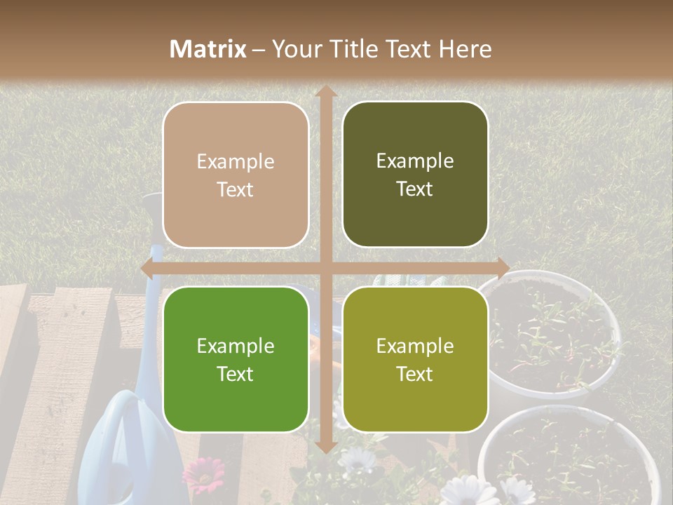 Concept Growth Summer PowerPoint Template
